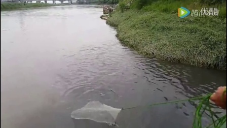 永定河钓鱼盛宴，免费钓鱼视频下载，钓鱼爱好者的天堂